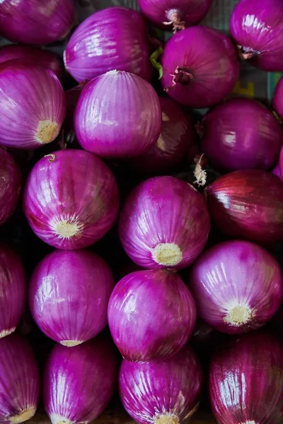 Purple Onions Placed Shelf Sale Market — Stock Photo, Image