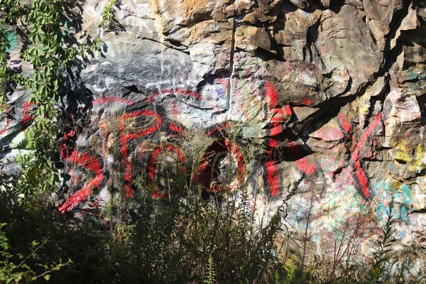Pemandangan Pinggir Jalan Grafiti Batu Dengan Tanaman — Stok Foto