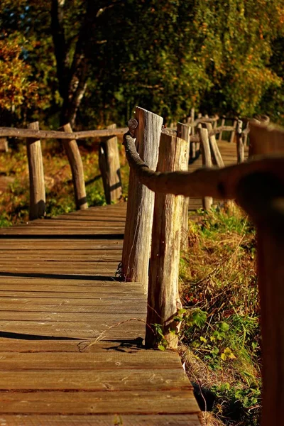 Tranquilo Sendero Madera Bosque Atardecer — Foto de Stock