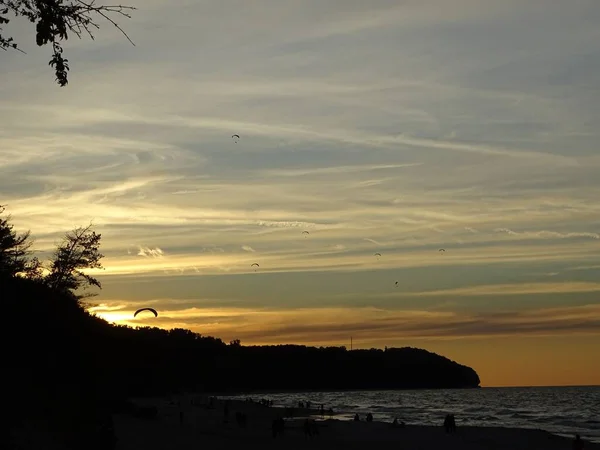 Una Silhouette Alberi Sotto Cielo Colorato Durante Tramonto — Foto Stock