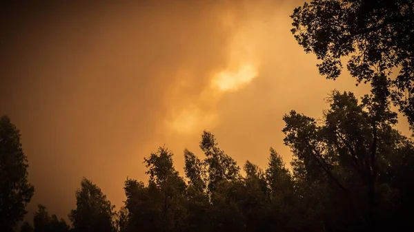Los Bosques Zona Pedrogao Grande Portugal Durante Los Incendios Forestales — Foto de Stock