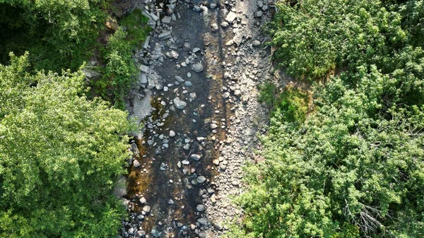 Une Vue Dessus Étroit Ruisseau Pierreux Avec Ses Arbres Luxuriants — Photo