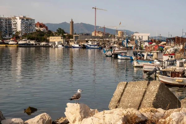 Estepona Malaga Spanien Juni 2022 Fischerboote Hafen Von Estepona Costa — Stockfoto