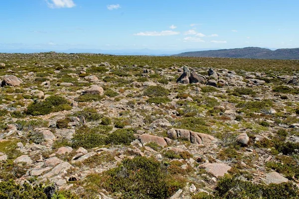 Tazmanya Güneşli Bir Günde Yeşil Çalılarla Kaplı Kayalık Bir Arazinin — Stok fotoğraf