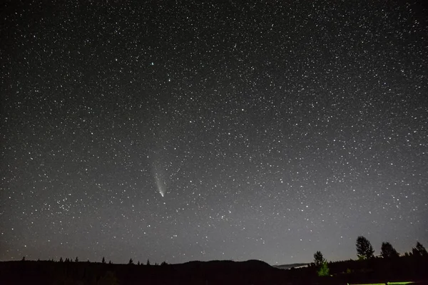 A short-period Halley\'s comet visible from a nighttime landscape.