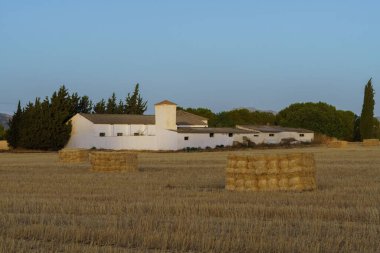 Arkaplanda bir çiftlik ve açık mavi gökyüzü olan buğday samanından yapılmış alpakalar