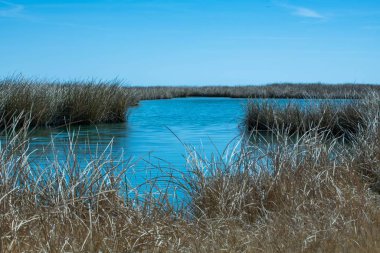 Güneşli bir günde çimlerle çevrili sessizce akan nehre yakın bir yerde.