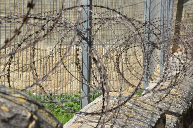 Çitin dikenli tellerine yakın çekim