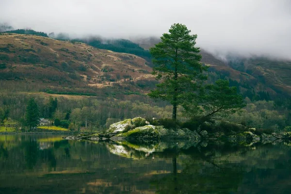Ein Umgekehrtes Spiegelbild Schöner Grüner Bäume Auf Einem See — Stockfoto