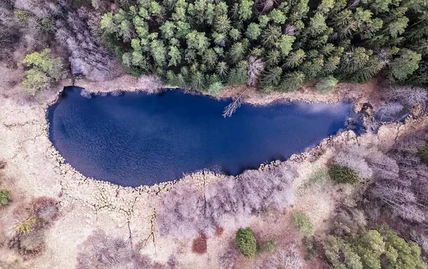 Luftaufnahme Eines Sees Wald — Stockfoto