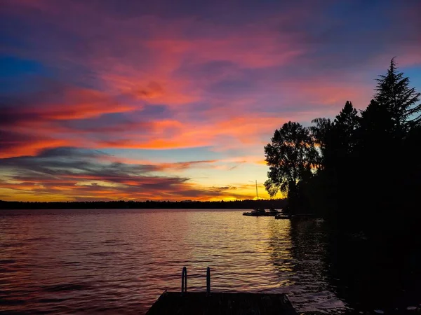 Jezioro Sylwetkami Drzew Zachodzie Słońca — Zdjęcie stockowe