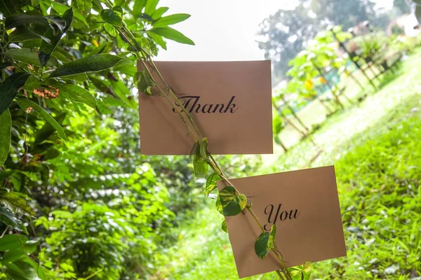新婚夫妇挂在绿树枝头的感谢卡留言特写 — 图库照片