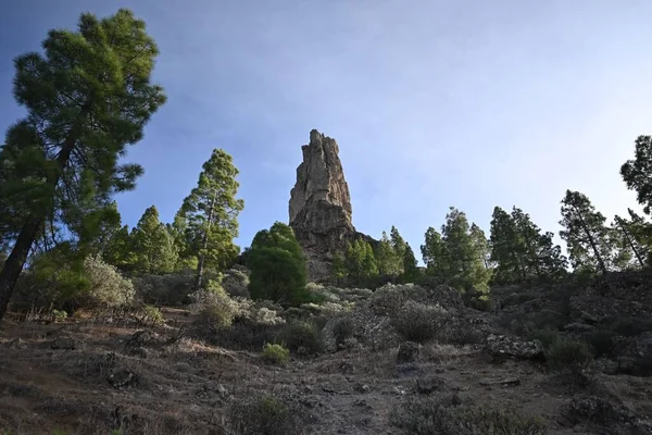 Árboles Las Montañas Con Hermosa Vista Sobre —  Fotos de Stock