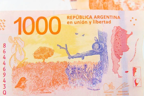 Primer Plano Billete Mil Pesos Argentinos —  Fotos de Stock