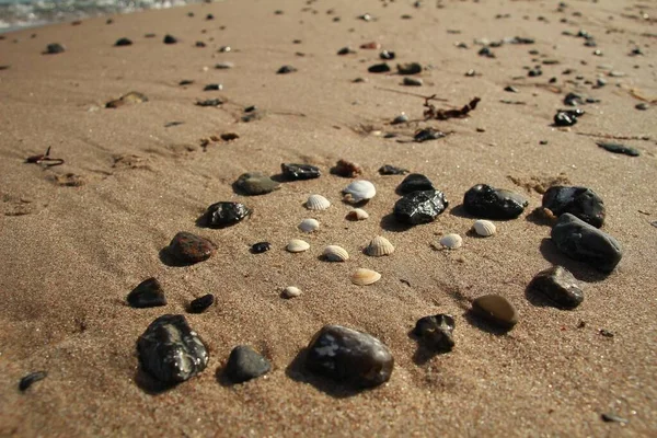 Серце Складене Каменів Черепашок Піщаному Пляжі — стокове фото