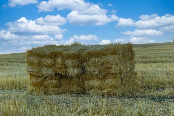 麦秆制成 背景为农业景观 蓝天为云彩 — 图库照片