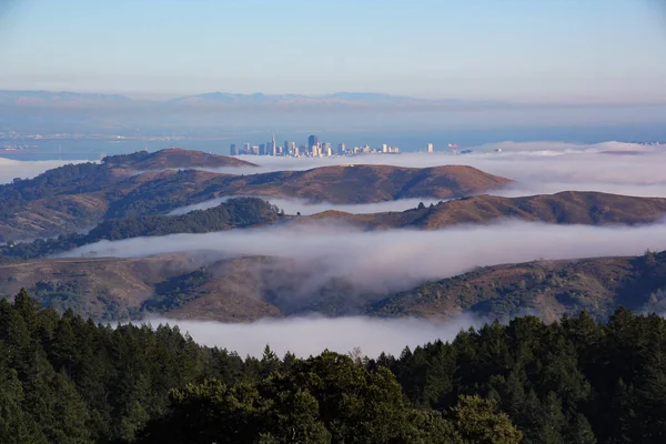 Köd Töltött Völgyek Keres San Francisco Városkép — Stock Fotó