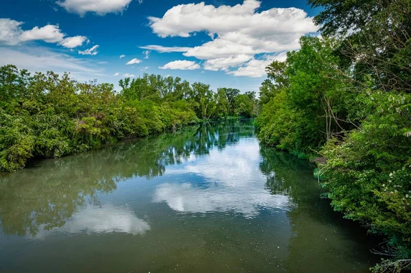 Uma Bela Vista Pequeno Rio Danúbio Cercado Por Árvores Verdes — Fotografia de Stock