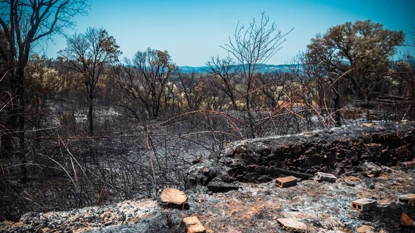 Het Gebied Pedrogao Grande Portugal Bosbranden — Stockfoto