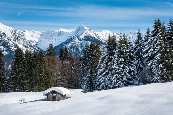 Eine Kleine Holzhütte Inmitten Eines Bergigen Waldes Winter — Stockfoto