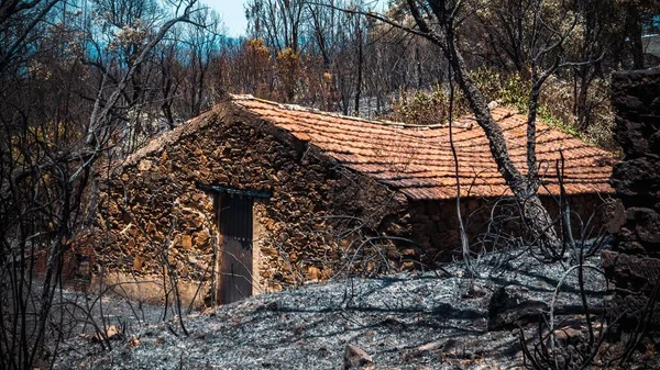 Het Gebied Pedrogao Grande Portugal Bosbranden — Stockfoto