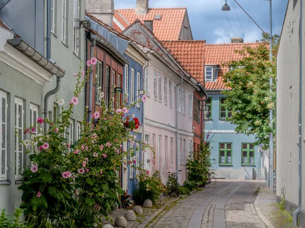 Uma Rua Ladrilhada Com Edifícios Coloridos Helsingor Dinamarca — Fotografia de Stock