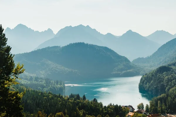 Eine Wunderschöne Landschaft Von Einem See Umgeben Von Viel Grün — Stockfoto
