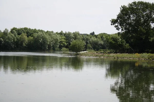 Una Vista Panoramica Lago Con Piante Verdeggianti Alberi Sulla Riva — Foto Stock