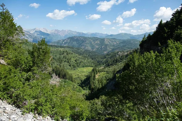 Una Vista Panorámica Valle Con Hermosos Árboles Montañas Fondo —  Fotos de Stock