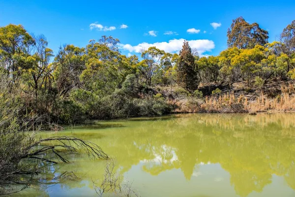 Живописный Вид Озеро Деревья Небо Эммавилле Новый Южный Уэльс Австралия — стоковое фото