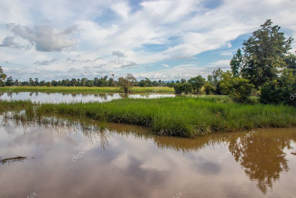 EL ARROZAL