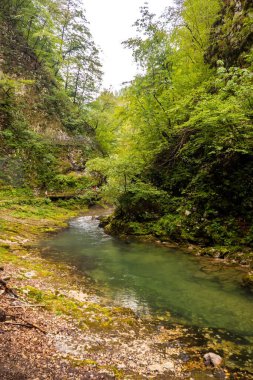 Slovenya 'nın Vintgar kentinde turistlerin olduğu bir nehrin dikey çekimi