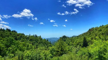 Bulutlu mavi gökyüzü ile yeşil bir tarlanın güzel manzarası