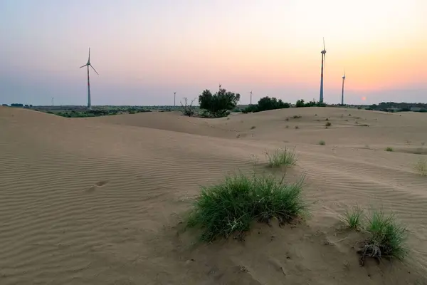 インド ラジャスタン州のタール砂漠 — ストック写真