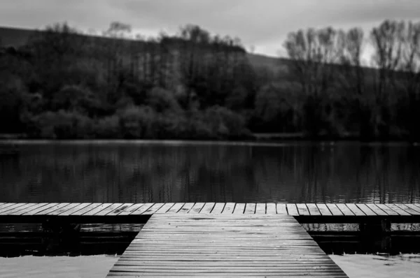 Grayscale Wooden Deck Shore Lake Trees — Stock Photo, Image