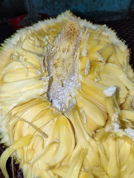 Jack Fruit Delicious Fruit Found India Srilanka Bangladesh Rainforests Philippines — Stock Photo, Image