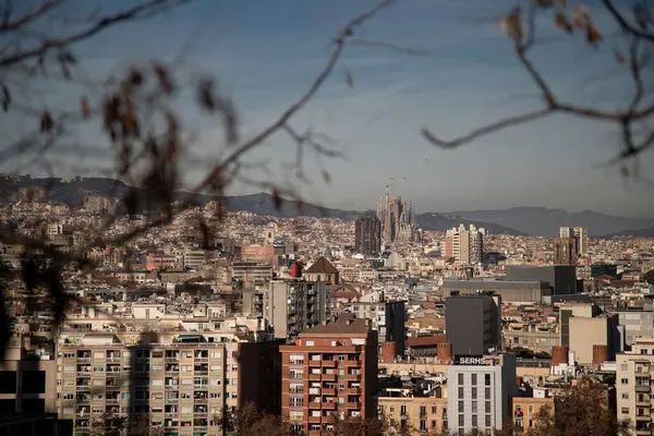 Beautiful Barcelona Cityscape Montjuic Park — Stock Photo, Image