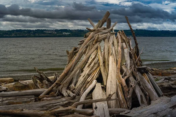 Beautiful Shot Fort Built Out Driftwood Shore Whidbey Island — Stock Photo, Image