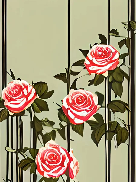 Blossoming Roses Climbing Wall — Stock Photo, Image