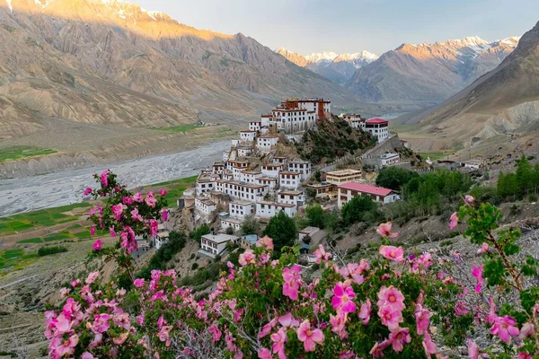 Blick Auf Das Kee Gompa Kee Kloster Spiti Tal Indien — Stockfoto