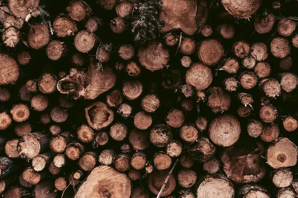 A closeup of textured wooden logs in a pile