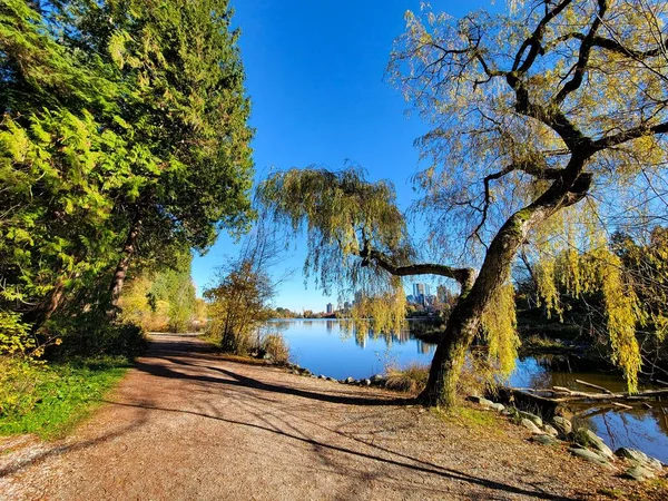 緑に囲まれた公園内の湖の美しい景色 失われたラグーン バンクーバー — ストック写真