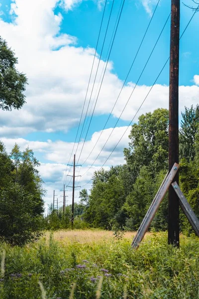 Vertikal Bild Kraftledningen — Stockfoto