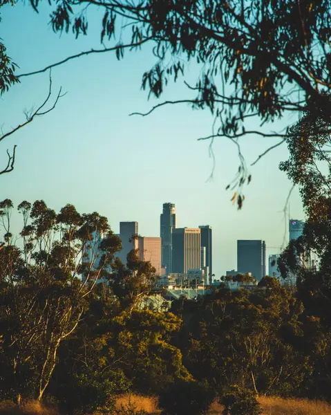 前景に木があるロサンゼルス市の風景 — ストック写真