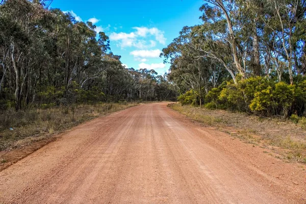 Dirt Road Deloraine Road Emmaville New South Wales Australia — Stock Photo, Image