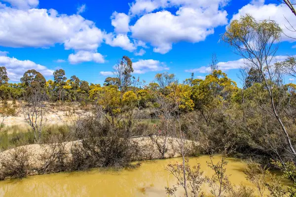 Природный Пейзаж Эммавилле Новый Южный Уэльс Австралия — стоковое фото