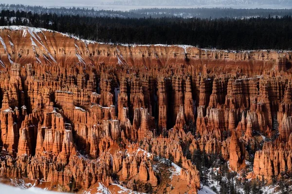 Bryce Point Durante Invierno Con Pinos Capas Fondo Bryce Canyon —  Fotos de Stock