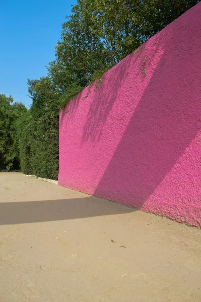 Plan Vertical Mur Rose Terrain Sablonneux Dans Domaine Équestre Luis — Photo