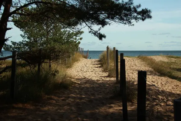 Ein Friedlicher Weg Der Einem Sonnigen Tag Die Küste Führt — Stockfoto