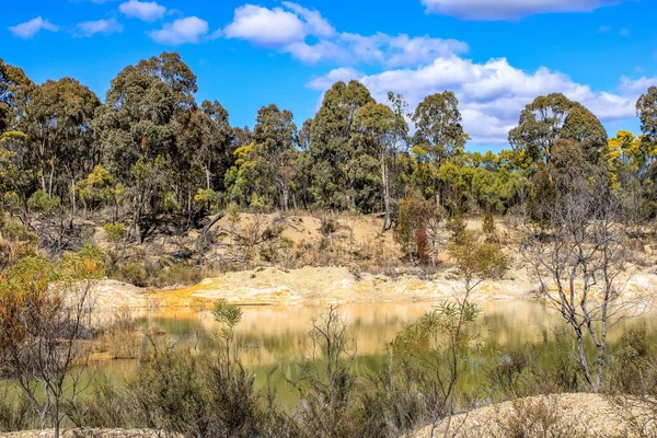 Een Schilderachtig Uitzicht Een Meer Emmaville New South Wales Australië — Stockfoto
